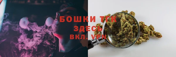 прущие грибы Тихорецк
