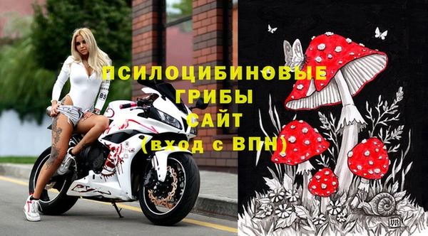 прущие грибы Тихорецк