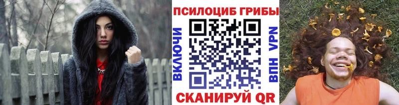 где продают наркотики  мориарти формула  KRAKEN как войти  Псилоцибиновые грибы мухоморы  Дзержинск 