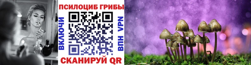 Псилоцибиновые грибы Psilocybe Дзержинск